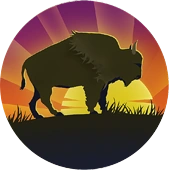 bison